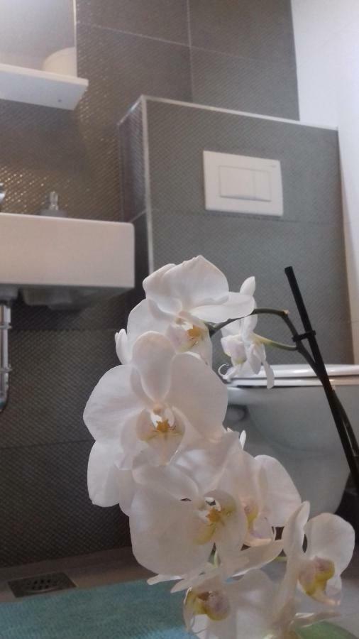 Luxury Kala 2 Apartment Porec